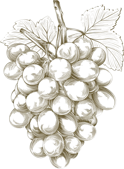 Süryani Şarap Evi Tarihçe